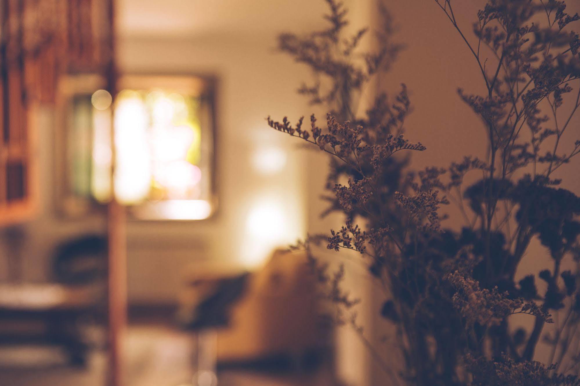 Parada De Francos Konuk evi Teo Dış mekan fotoğraf